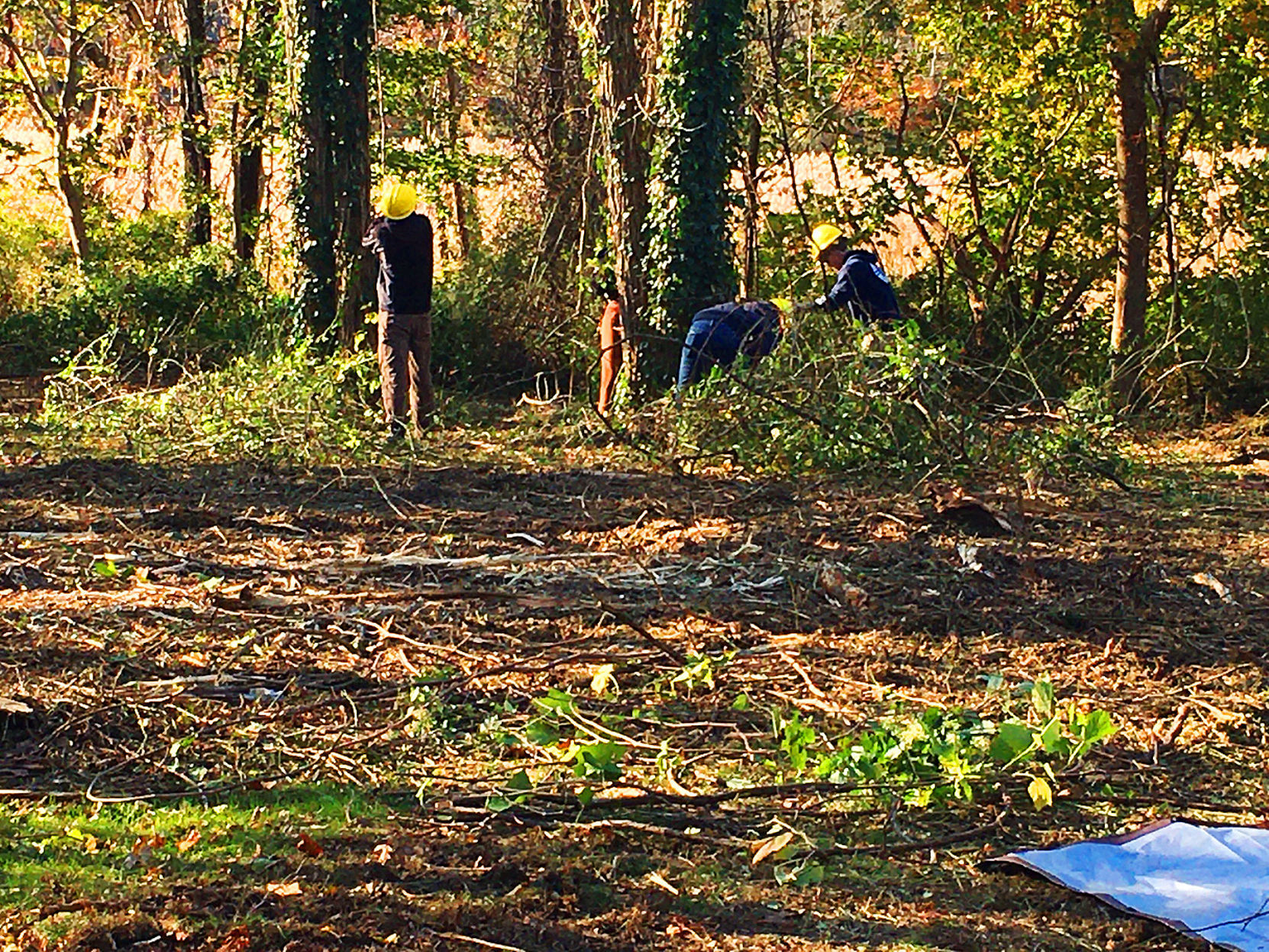Brady's Island Conservation Plan